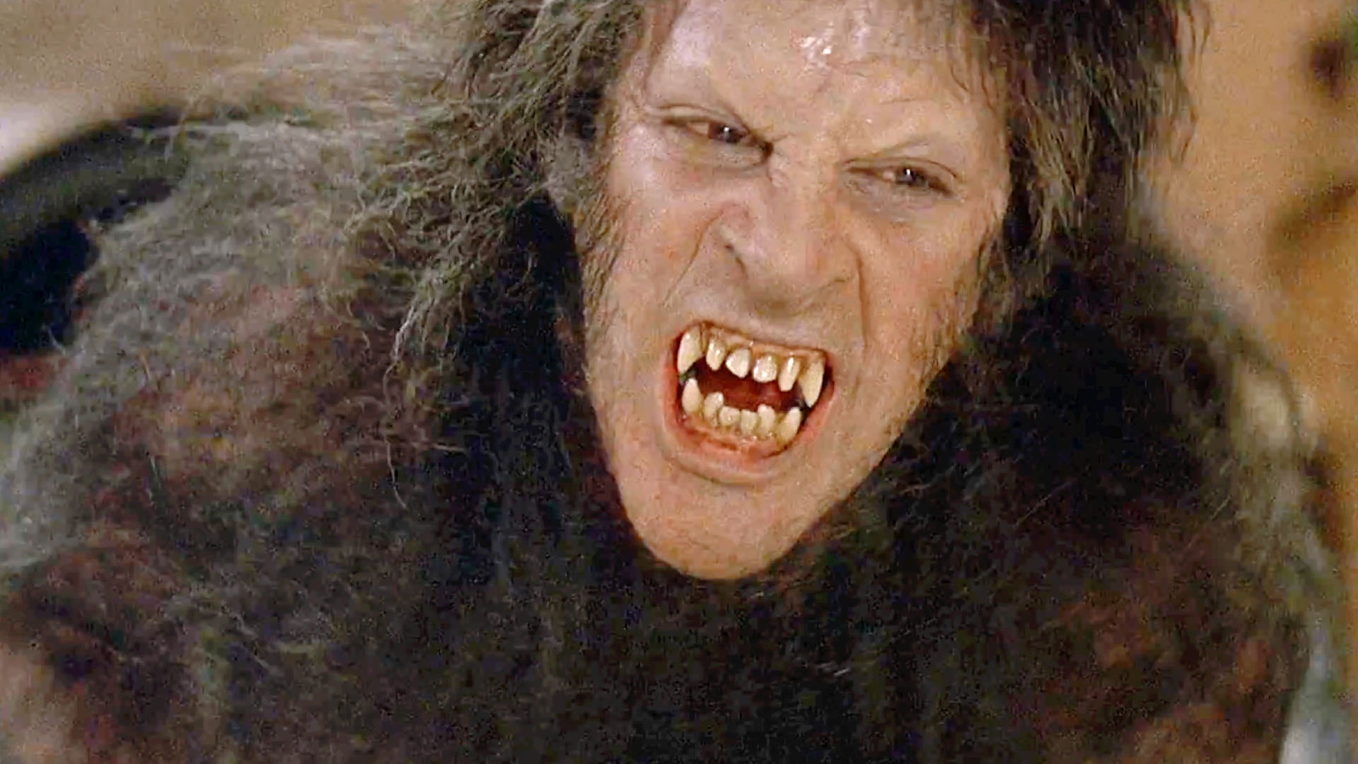 american werewolf in london