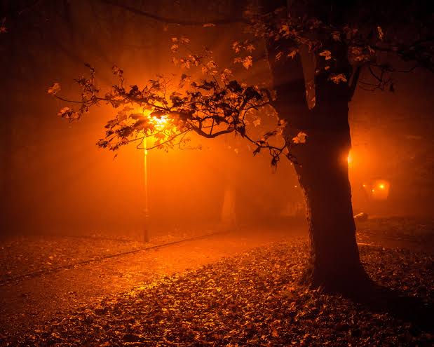 autumn